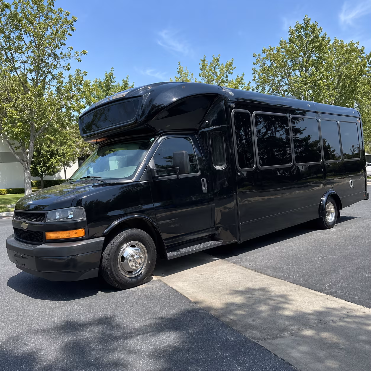 bozeman 15 passenger party bus