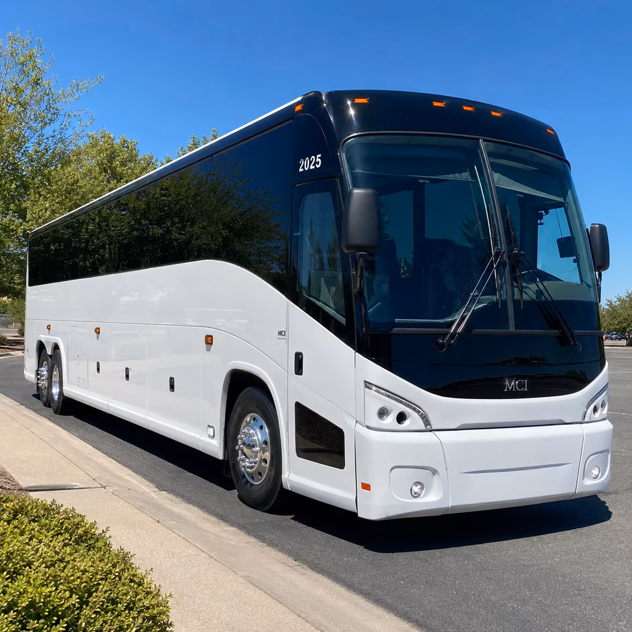 yellowstone day trips and creation tours for bozeman churches